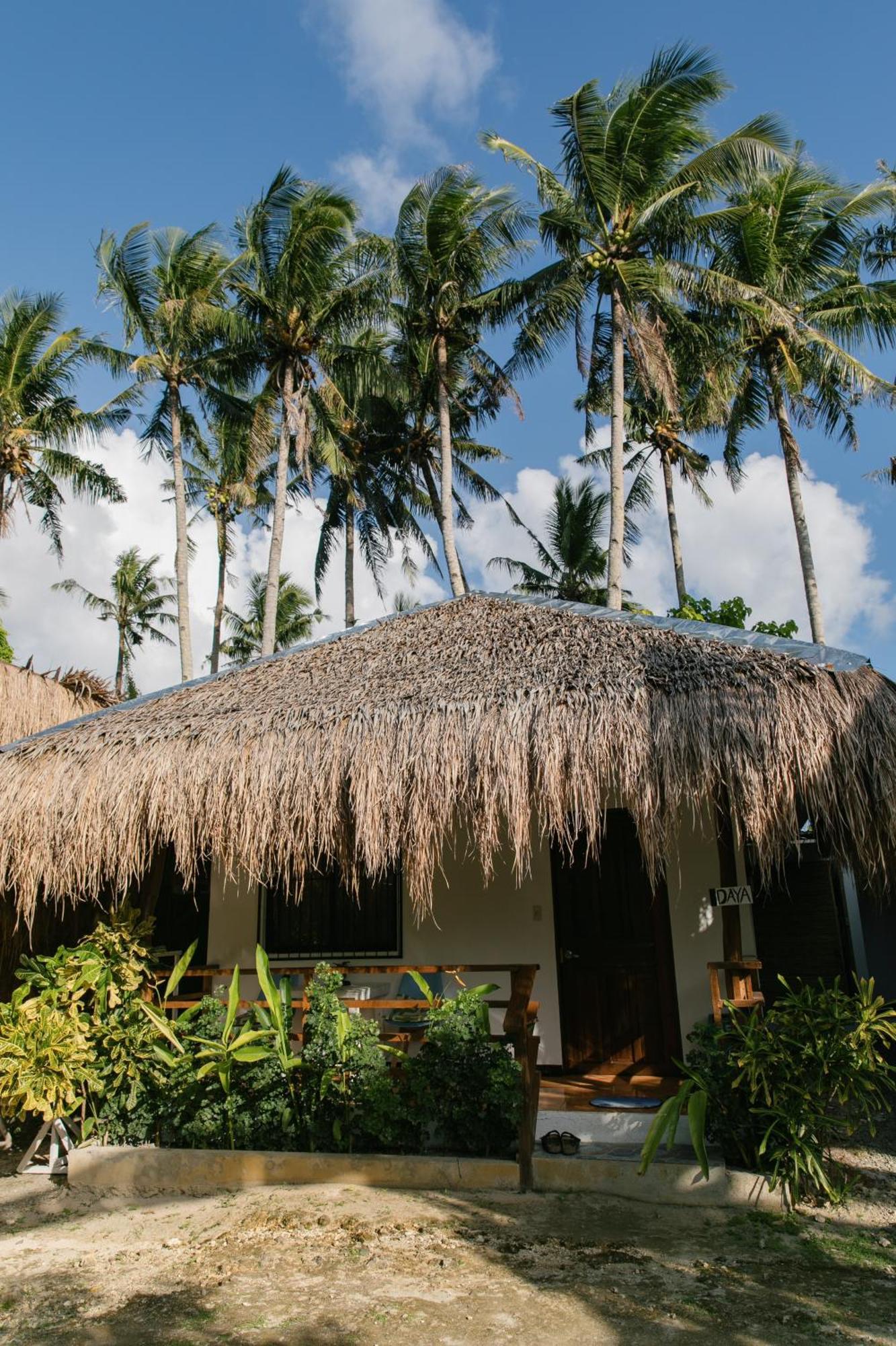 Ozen Freediving Hostel General Luna  Luaran gambar